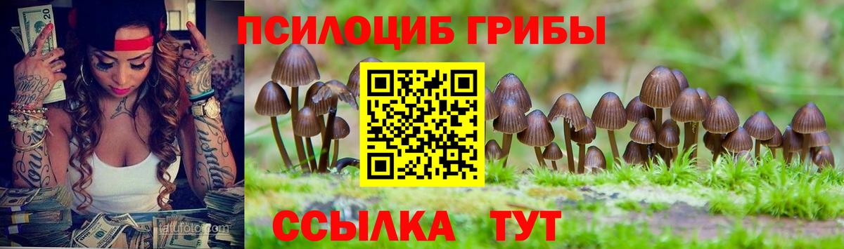 Псилоцибиновые грибы ЛСД Чехов